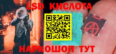 скорость Бердск
