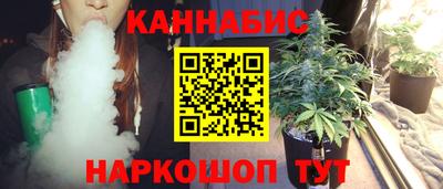 скорость Бердск