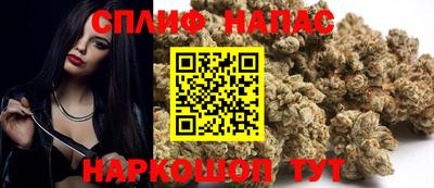 стаф Белореченск